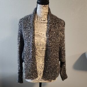 Express Gray Sequin Knit Sweater